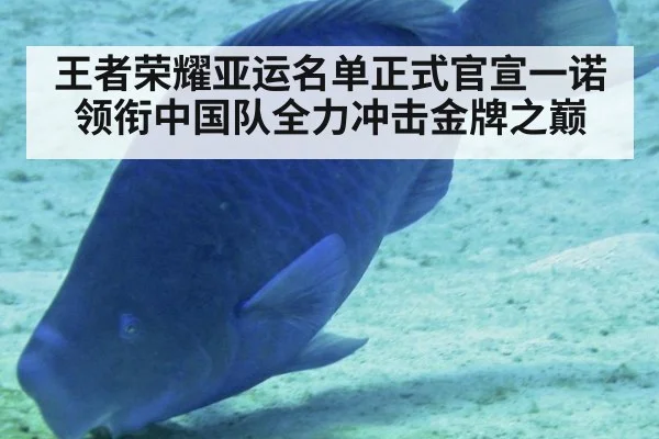 王者荣耀亚运名单正式官宣一诺领衔中国队全力冲击金牌之巅