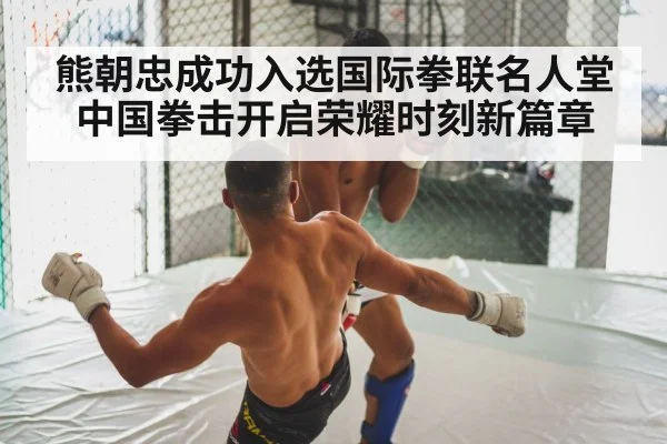 boxing fight